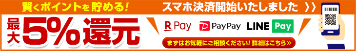 最大5%還元 キャッシュレス
