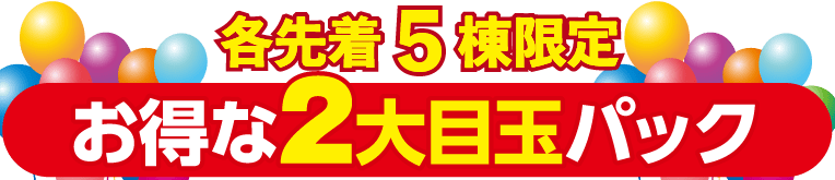 お得な２大目玉パック